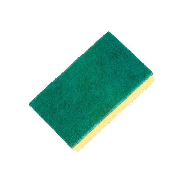 Economy Sponge Scourer 14x9CM Pack 10